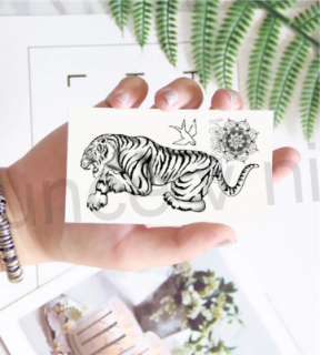 Voděodolné, dočasné tetovaní (E54)