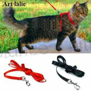Postroj pro kočky + vodítko, červený, černý (T5)