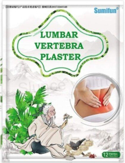 Hřejivá pelyňková náplast na bolest bederních obratlů 12 kusů (F64)