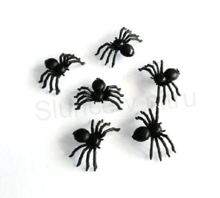 Dekorativní hmyz pavouk 6 kusů (D974)