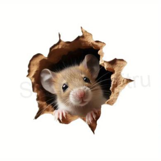 Nálepka, samolepka 3D otvor s myškou (E987)