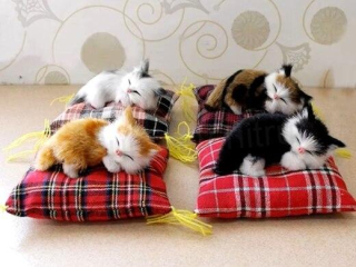 Plyšová hračka kočka malá (D983)