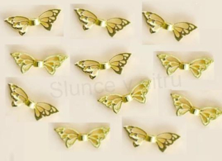 Andělské křídlo zlaté 8 x 22 mm (AC630)