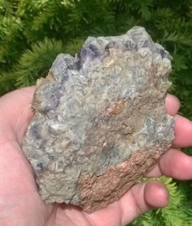 Ametyst drúza 347 g (Česká Republika) (X1906)