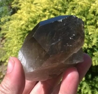 Kouřová záhněda srostlice 191 g (Brazílie) (X1913)