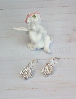 Stříbrné náušnice se zirkony kytička (BB870)