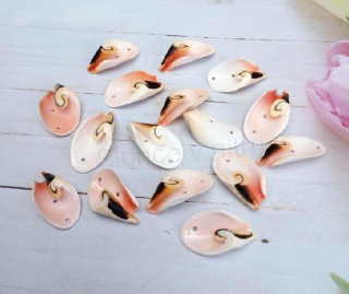 Přírodní mušle s dírkami 2,8 x 1,6 mm - 2 kusy (X2078)