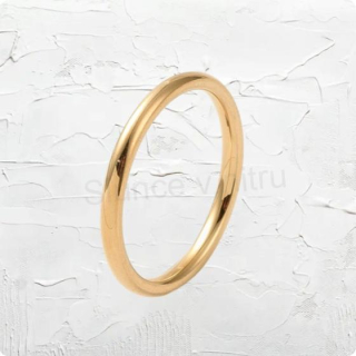 Tenký hladký prsten z nerez oceli 2 mm (BP547)