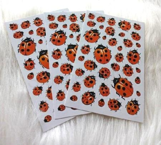 Samolepky, obtisky beruška, berušky kreslené mix (E1017)