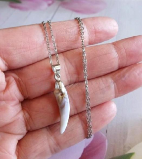 Nerezový náhrdelník s přívěskem Vlčího zubu (BD998)