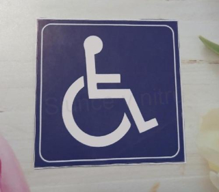 Samolepky na auto pro zdravotně postižené 8 cm (E1058)