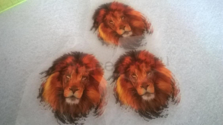 Samolepicí nažehlovací nášivky (C159)