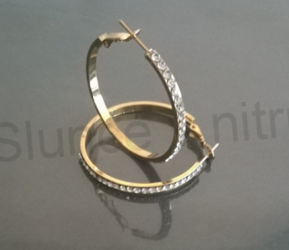 Náušnice Kruhy se zirkony z chirurgické oceli (BB165)