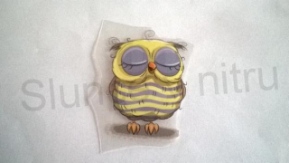 Samolepicí nažehlovací nášivka sova (C228)