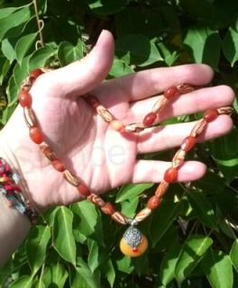 Minerální náhrdelník s karneolem a dřevem (X201)