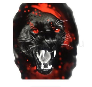 Samolepky na auto černý panter (E170)