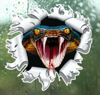 Samolepky na auto cobra (E173)