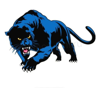 Samolepky na auto modrý panter (E174)