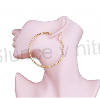 Postříbřené, pozlacené náušnice Kruhy z chirurgické oceli (BB79)