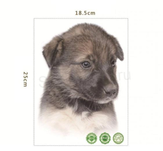 3D Samolepící dekorace roztomilé štěně (E185)