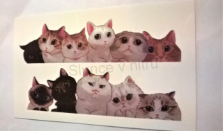 Voděodolné, dočasné tetovaní (E196)