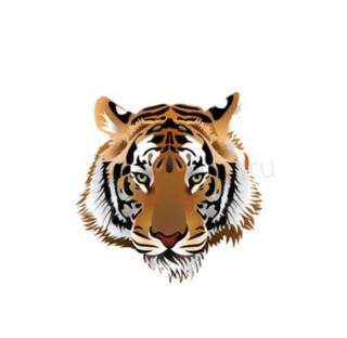 Samolepicí nažehlovací nášivky tygr (C387)