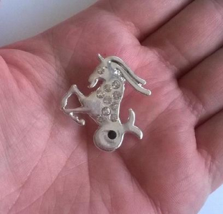 Brož se zirkonovými kamínky Znamení Kozoroh (HB86)