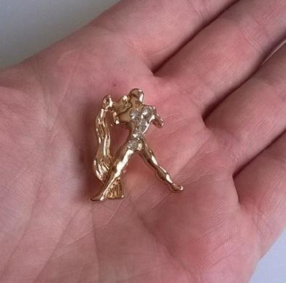 Brož se zirkonovými kamínky Znamení Vodnář (HB87)