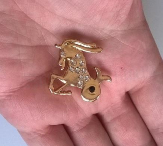 Brož se zirkonovými kamínky Znamení Kozoroh (HB87)