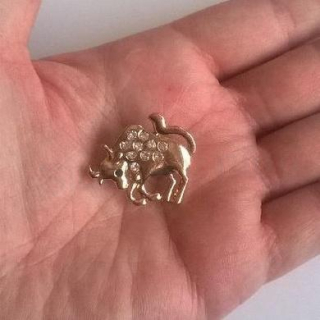 Brož se zirkonovými kamínky Znamení Býk  (HB87)