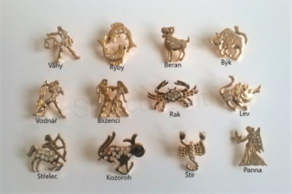 Brož se zirkonovými kamínky Znamení (HB87)