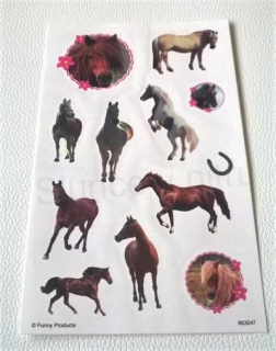 Voděodolné, dočasné tetovaní kůň, koník (E234)