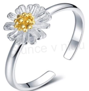 Nastavitelný postříbřený prsten Sedmikráska (BE155)