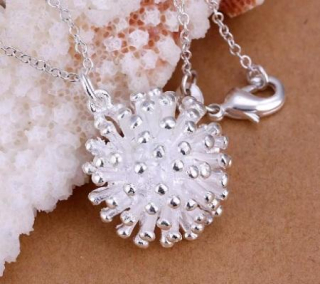 Postříbřený náhrdelník s přívěškem Pampeliška (BD262)