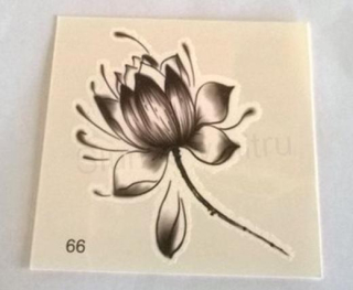 Voděodolné, dočasné tetovaní Květiny číslo 66 (E248)
