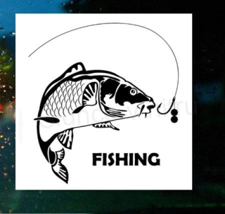 Samolepka na auto pro rybáře ryba, kapr (E269)