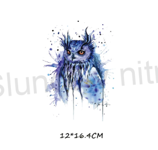 Nášivka sova (C573)