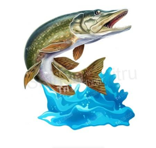 Samolepky na auto pro rybáře štika (E477)