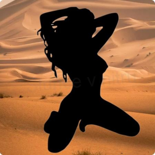 Samolepky na auto sexy dívka (E483)