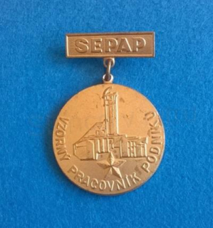 Odznak/medaile - Sepap zasloužilí pracovník podniku (ME6)