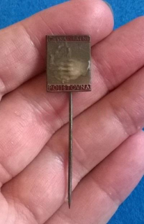 Odznak - Česká státní pojišťovna (ME26)