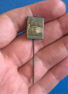 Odznak - Česká státní pojišťovna (ME28)