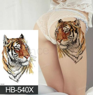 Voděodolné, dočasné tetovaní Tygr (E593)