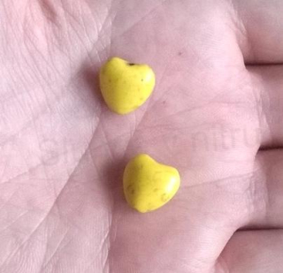 Tyrkysové srdce z minerálů - 12 x11 mm žluté (X1247)