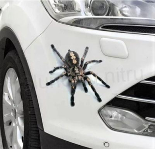 Samolepky na auto Pavouk, Spider (E679)