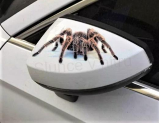 Samolepka na auto Pavouk, Spider (E680)