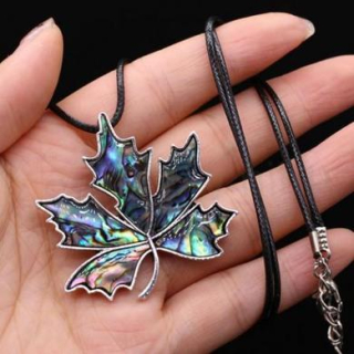 Náhrdelník a brož přírodní mušle Paua (X1531)